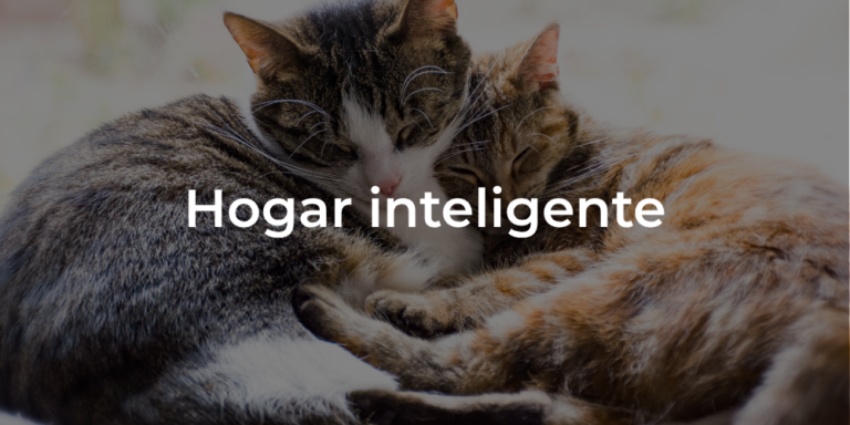 Hogar inteligente para gatos y Perros