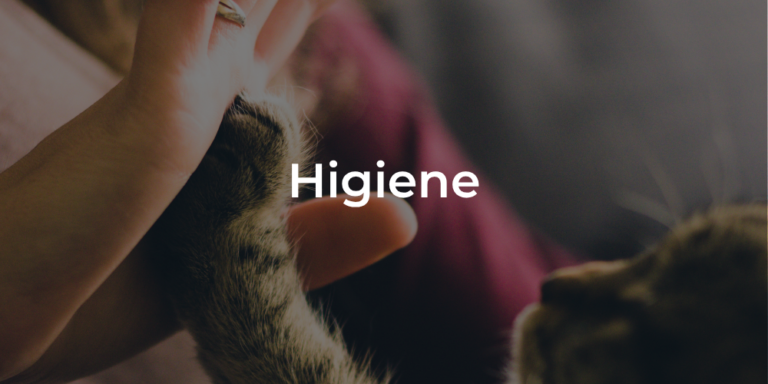 Higiene para gatos y perros